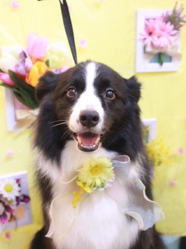 20230325ウィルくん